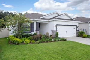 8370 WHEAT STONE DRIVE, ZEPHYRHILLS, FL 33540 - MLS#MFRTB8418055