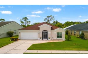 26730 Cigar Ln, WESLEY CHAPEL