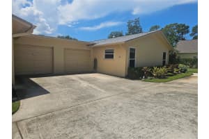 1107 QUEEN ANNE DRIVE, PALM HARBOR, FL 34684 - MLS#MFRTB8418105