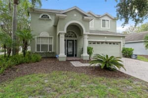 5202 Abbey Park Ave, TAMPA