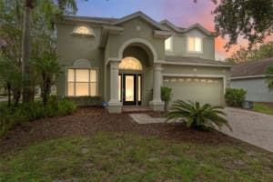 5202 ABBEY PARK AVENUE, TAMPA, FL 33647 - MLS#MFRTB8418131