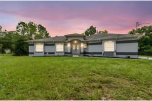 27240 Snapper Creek Ln, WESLEY CHAPEL