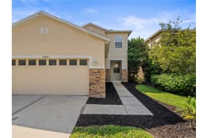 17522 BALMAHA DRIVE, LAND O LAKES, FL 34638 - MLS#MFRTB8418169