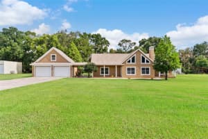 12136 MCINTOSH ROAD, THONOTOSASSA, FL 33592 - MLS#MFRTB8418178