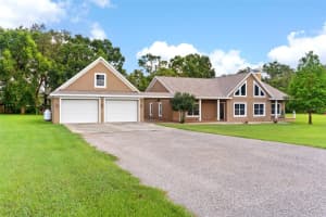 12136 MCINTOSH ROAD, THONOTOSASSA, FL 33592 - MLS#MFRTB8418178