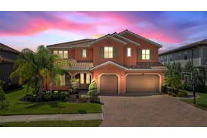28909 Picana Ln, WESLEY CHAPEL