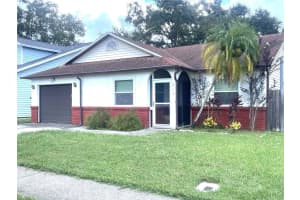 519 Feather Tree Dr, CLEARWATER