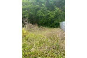 811 HENRY STREET, LAKE WALES, FL 33853 - MLS#MFRTB8418222