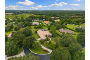 10643 ECHO LAKE DRIVE, ODESSA, FL 33556 - MLS#MFRTB8418230