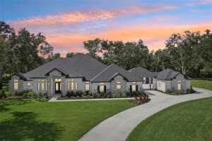 3317 Chase Jackson Branch, LUTZ