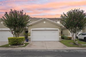 11036 Blaine Top Pl, TAMPA