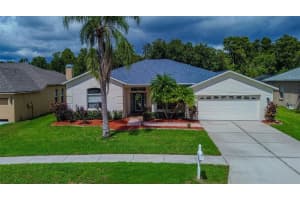 24818 Blazing Trail Way, LAND O LAKES