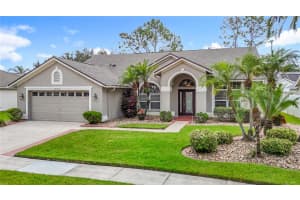 28406 OPENFIELD LOOP, WESLEY CHAPEL, FL 33543 - MLS#MFRTB8418254