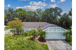 9203 REGENTS PARK DRIVE, TAMPA, FL 33647 - MLS#MFRTB8418263