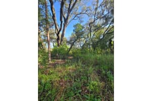 13603 GOPHER POND COURT, HUDSON, FL 34669 - MLS#MFRTB8418284