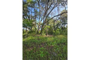 13603 GOPHER POND COURT, HUDSON, FL 34669 - MLS#MFRTB8418284