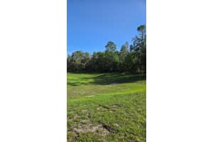 13603 GOPHER POND COURT, HUDSON, FL 34669 - MLS#MFRTB8418284