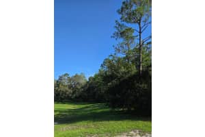 13603 GOPHER POND COURT, HUDSON, FL 34669 - MLS#MFRTB8418284