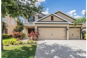 33181 SHADOW BRANCH LANE, WESLEY CHAPEL, FL 33545 - MLS#MFRTB8418295
