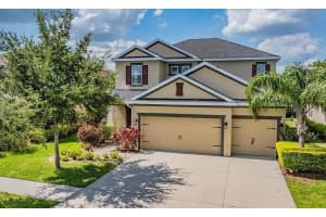 33181 SHADOW BRANCH LANE, WESLEY CHAPEL, FL 33545 - MLS#MFRTB8418295