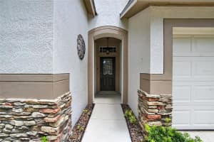 15531 MARTINMEADOW DRIVE, LITHIA, FL 33547 - MLS#MFRTB8418297