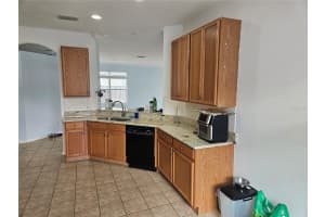 16735 SHANLOW COURT, ODESSA, FL 33556 - MLS#MFRTB8418300