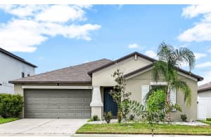 13615 Willow Bluestar Loop, RIVERVIEW