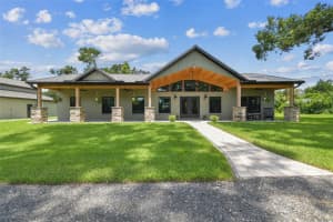 1517 UNCLE BUDS LANE, LITHIA, FL 33547 - MLS#MFRTB8418321