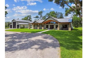1517 UNCLE BUDS LANE, LITHIA, FL 33547 - MLS#MFRTB8418321