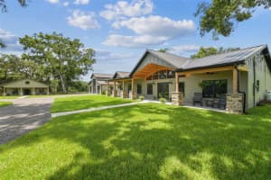 1517 UNCLE BUDS LANE, LITHIA, FL 33547 - MLS#MFRTB8418321