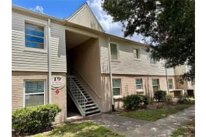 7210 N Manhattan Ave #1922, TAMPA