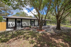 10131 FIELD STREET, NEW PORT RICHEY, FL 34654 - MLS#MFRTB8418349