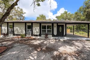 10131 FIELD STREET, NEW PORT RICHEY, FL 34654 - MLS#MFRTB8418349