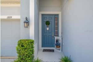 17659 BRIGHT WHEAT DRIVE, LITHIA, FL 33547 - MLS#MFRTB8418363