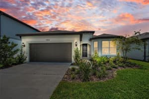 3826 Ivy Springs Ln, LAND O LAKES