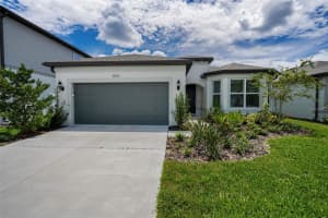 3826 IVY SPRINGS LANE, LAND O LAKES, FL 34638 - MLS#MFRTB8418368