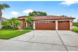16469 TURNBURY OAK DRIVE, ODESSA, FL 33556 - MLS#MFRTB8418376