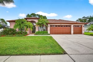 16469 TURNBURY OAK DRIVE, ODESSA, FL 33556 - MLS#MFRTB8418376