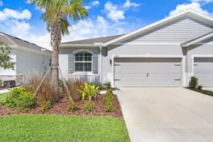3805 Stormy Thistle Pl, PLANT CITY