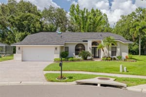 1011 Chillum Ct, SAFETY HARBOR