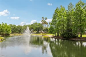 17104 CARRINGTON PARK DRIVE, TAMPA, FL 33647 - MLS#MFRTB8418411