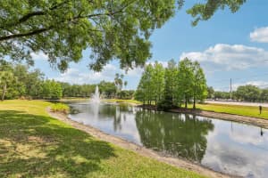 17104 CARRINGTON PARK DRIVE, TAMPA, FL 33647 - MLS#MFRTB8418411
