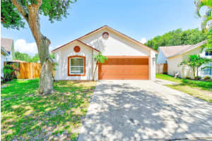 6203 Calamari Pl, RIVERVIEW
