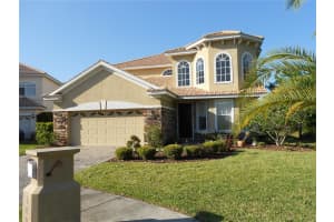 18022 MAUI ISLE DRIVE, TAMPA, FL 33647 - MLS#MFRTB8418413