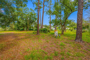 17650 DRIFTWOOD LANE, LUTZ, FL 33558 Sold 09/19/25