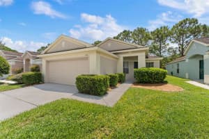 5546 CANNONADE DRIVE, WESLEY CHAPEL, FL 33544 - MLS#MFRTB8418422