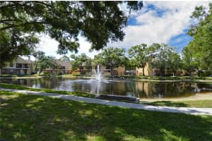 8649 Fancy Finch Dr #102, TAMPA