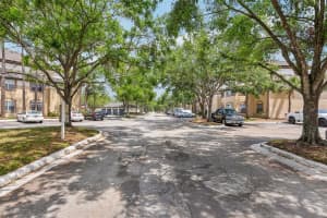 17104 CARRINGTON PARK DRIVE, TAMPA, FL 33647 - MLS#MFRTB8418428