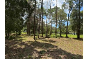 15330 TUCKAWAY LANE, SPRING HILL, FL 34610 - MLS#MFRTB8418442