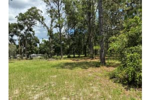 15330 TUCKAWAY LANE, SPRING HILL, FL 34610 - MLS#MFRTB8418442
